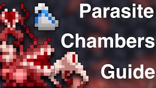 RotMG - Parasite Chambers Guide