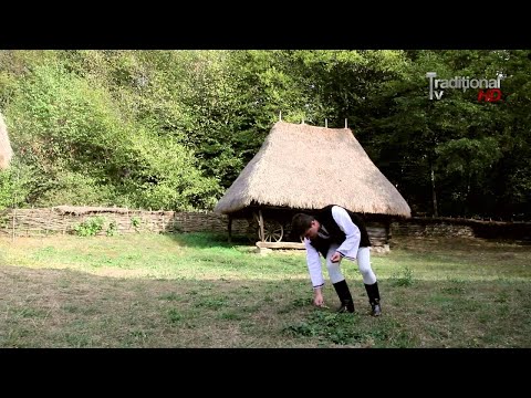 Ilie Medrea - Vina mandra, vina draga, videoclip original