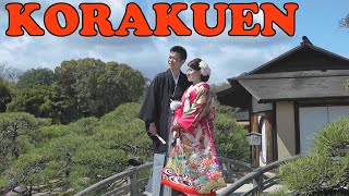 preview picture of video 'Korakuen Garden in Sakura Season ✿ Okayama ✿ 岡山市の後楽園 ✿ Japan As It Truly Is'
