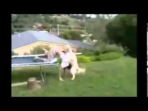 Funny fail