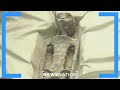 Alien Corpses Displayed During Mexico S Congressional Hearing On UFOs NewsNation Now