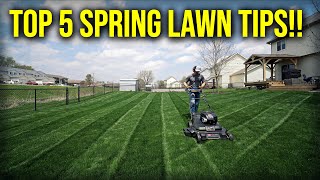 Top 5 Spring Lawn Tips 2024!!