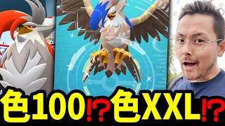 色違い100爆誕！？色違いXXL爆誕！？覚醒しすぎてるムクホークのスーパーメガレイドがヤバイ！？【ポケモンGO】