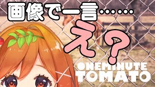 なにこの画像 #2【ワンミニッツ】