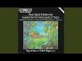 Symphony No. 5 in E Minor, Op. 64: I. Andante - Allegro con anima (Arr. S. Taneyev for 2 pianos)