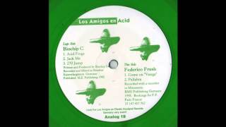 Biochip C - Acid Frogs (Acid Techno 1995)