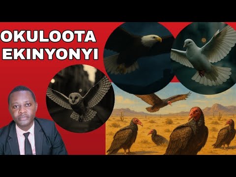 Okuloota Ekinyonyi kitegezaki by Brother Steven