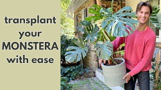 Easy MONSTERA Repotting Demonstration