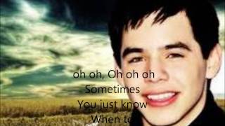 David Archuleta Who i am w/Lyrics