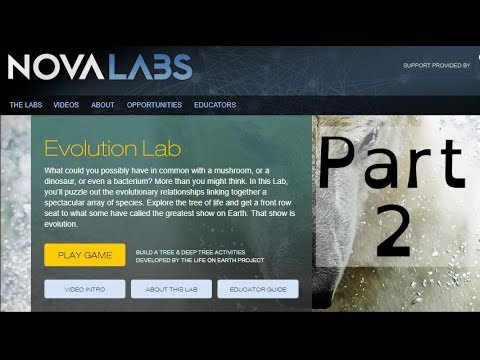 Nova Lab Evolution Game - Let's Play A Classification Puzzle Game - Part 2