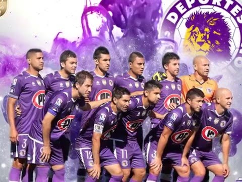 "ALENTANDO AL LEON DE COLLAO" * UNIDOS POR EL CONCE"