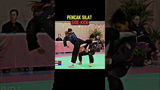 Download lagu Pencak silat side kick tutorial mp3 Download lagu Pencak silat side kick tutorial mp3
