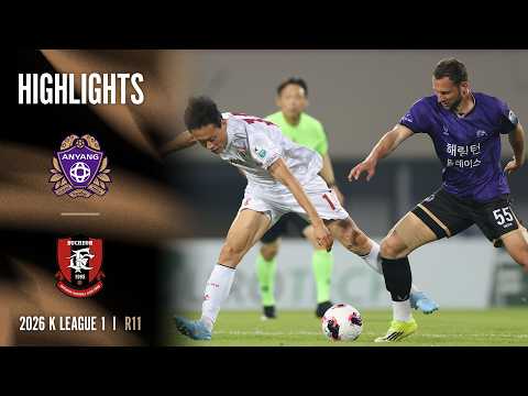 bg-highlight