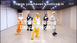 Download lagu Things you didn't notice in TXT's Cat & Dog Dance Practice Animal Ver. mp3