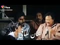 Nfak Whatsapp Status Tiktok Status Facebook Status Twitter Status Likee Status Instagram Status