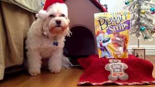 Cute Dog Target Haul : Holiday Edition!