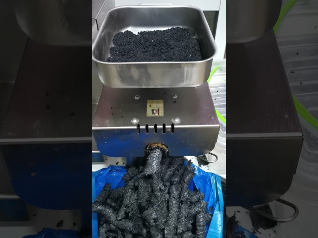 زيت حبة البركة طبيعي 125 مل معصرة