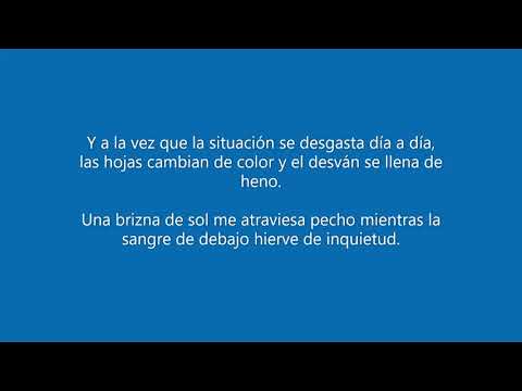 Weeds or wildflowers - Letra en ESPAÑOL (Parsonsfield)