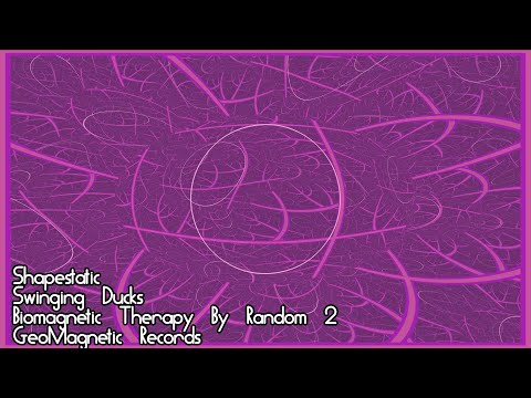 Shapestatic, Swinging Ducks, Biomagnetic Therapy By Random #02, GeoMagnetic Records