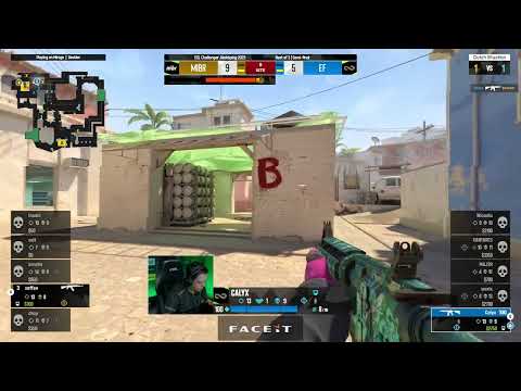 Calyx   1vs2 clutch CT   post plant situation