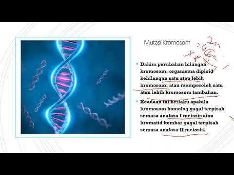 BIOLOGI TINGKATAN 5 : 12.3 PART 2 MUTASI