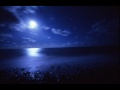 Moonlight Shadow - Dana Winner 
