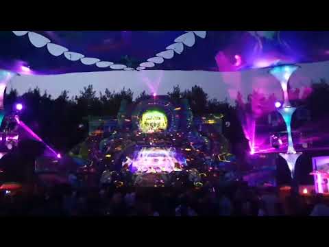 psychedelic circus 2022