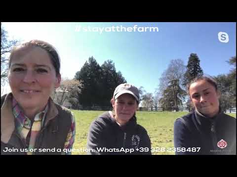 Stay at the farm - Episode 2