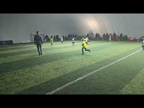 Video-Miniaturansicht