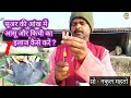 How To Treat Tears And Itching In Pig S Eyes Pig Treatment Video Suwar Ka Ilag Kaise Karen