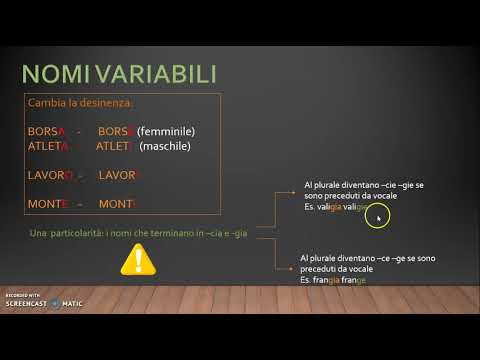 Il numero del nome - grammatica