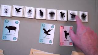 Perhaps She&#39;ll Die -- How to Play