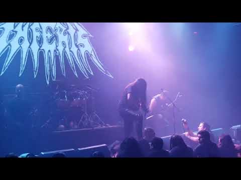 Inferis live blondie