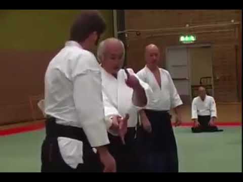 Isoyama Sensei - Irimi Tenkan