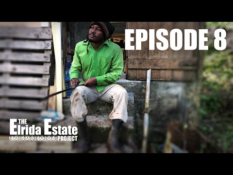 The ELRIDA ESTATE Project | Episode 8 | Cabin Building & Off- Grid Living