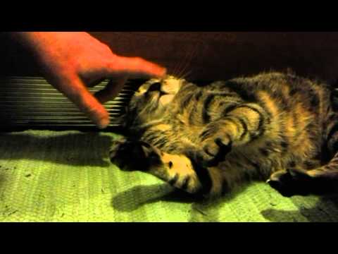 Giada e l'ora legale