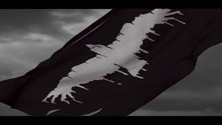 Wave No Flag Music Video