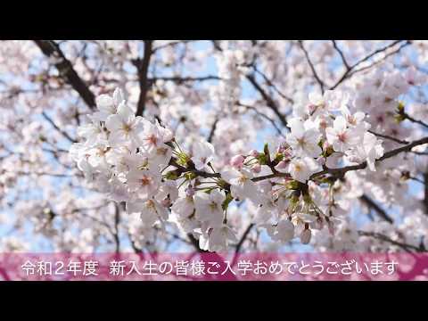 令和２年度香川大学入学式