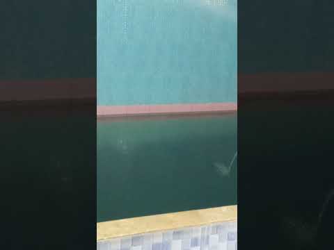 ۸ اکتبر ۲۰۲۴