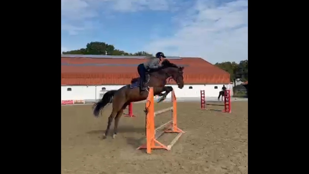 O'Chapeau MB ☆ (CHAPEAU TN x CAROMBOLE) video 4
