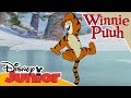 Kleine Abenteuer Mit Winnie Puuh Tigger Auf Dem Eis Disney Junior