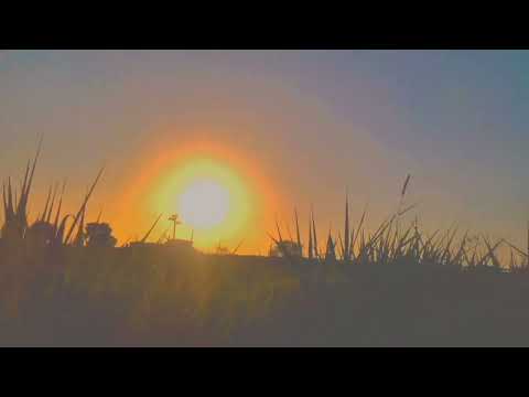 #tu brsi naseeba Wal❤️❤️