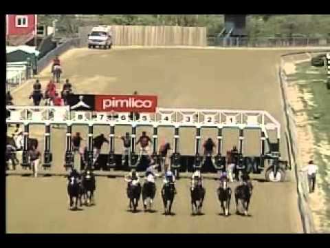 Pimlico 05/08/14 race 2