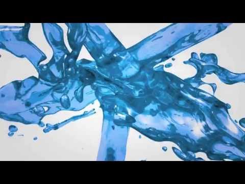 blue collar local welcome