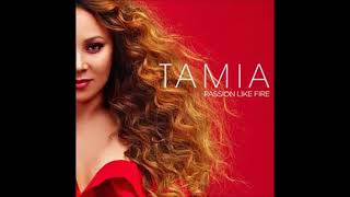 TAMIA-LEAVE IT SMOKIN (PASSION LIKE FIRE)