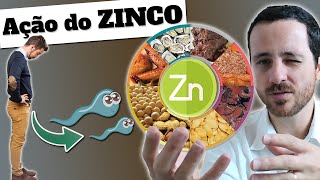 [RESUMO] ZINCO PARA HOMENS: funções, onde você perde e como repor