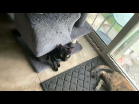 My baby girl xinaaaa!