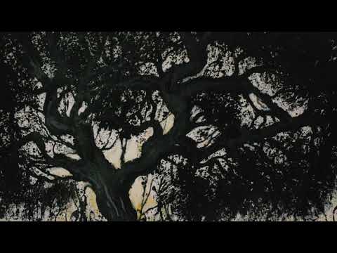 forêts noires de F.Mitro