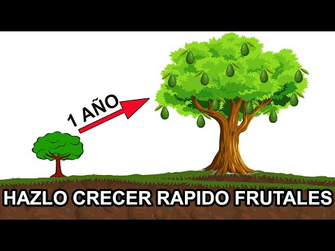 HAZ crecer RÁPIDO tu ÁRBOL / Arboles frutales