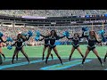 Carolina Panthers Top Cats 2022